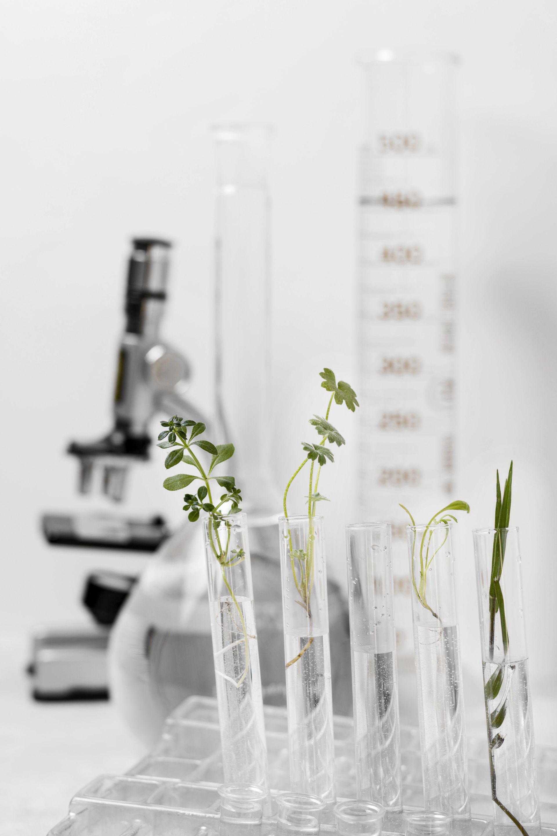 高齡族群產品開發